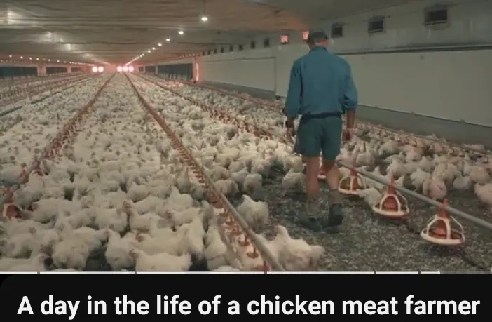 Farm Image 1